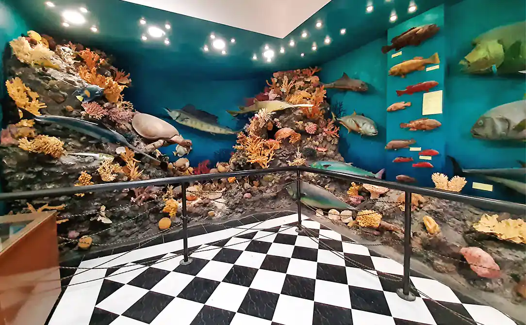 Музей морской биологии в Хургаде