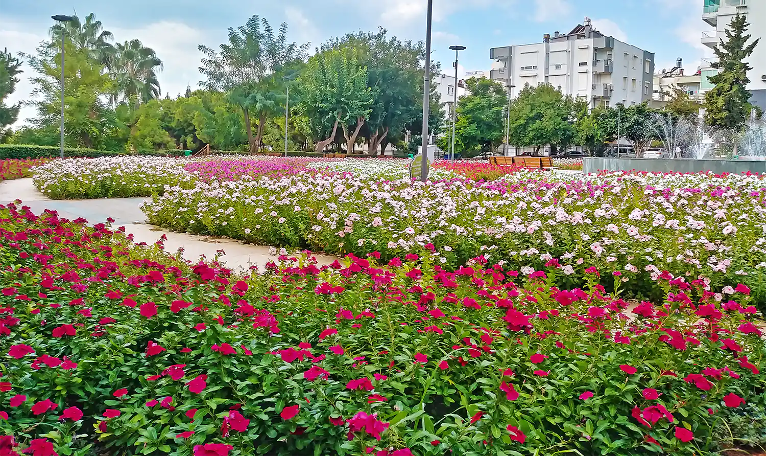 Клумбы с цветами в парке Караалиоглу в Анталии