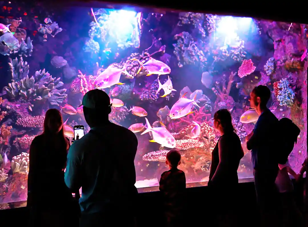 Люди смотрят на рыб в океанариуме Анталии