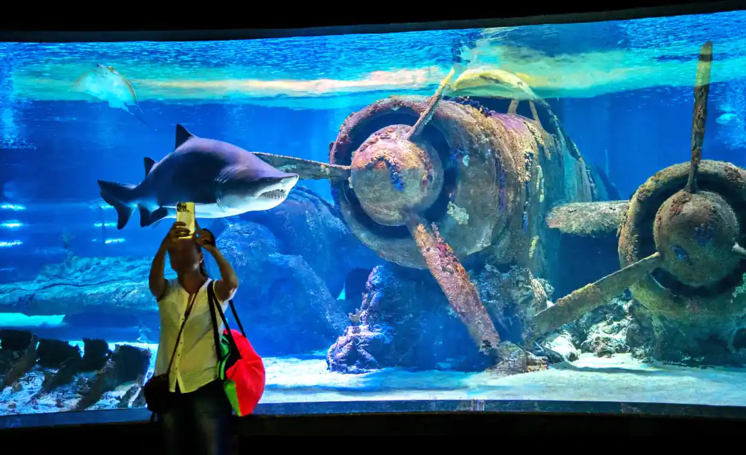 Девушка делает селфи с акулой в океанариуме Анталии