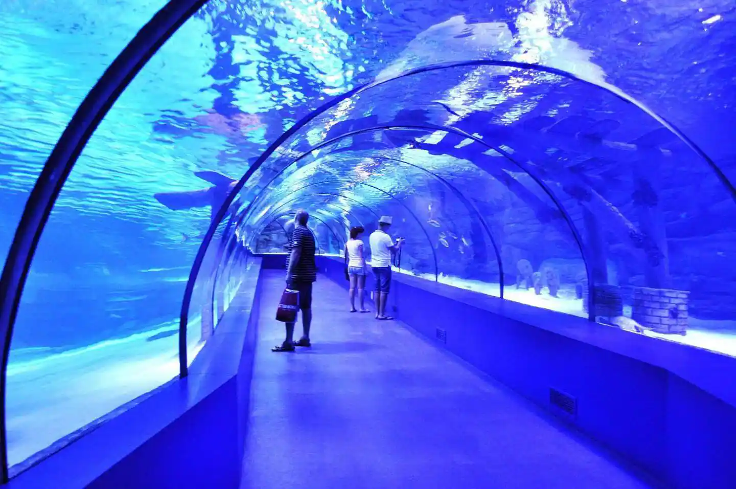 Подводный туннель в океанариуме Анталии